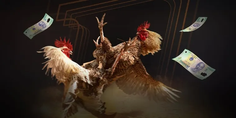 Đá Gà Bet88 Trực Tiếp Thomo Trải Nghiệm Đỉnh Cao Ngay Hôm Nay 1 Đá Gà Bet88 Trực Tiếp Thomo Trải Nghiệm Đỉnh Cao Ngay Hôm Nay